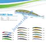 CN21 Series