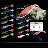 soft lure-5566