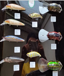 hard plastic lures